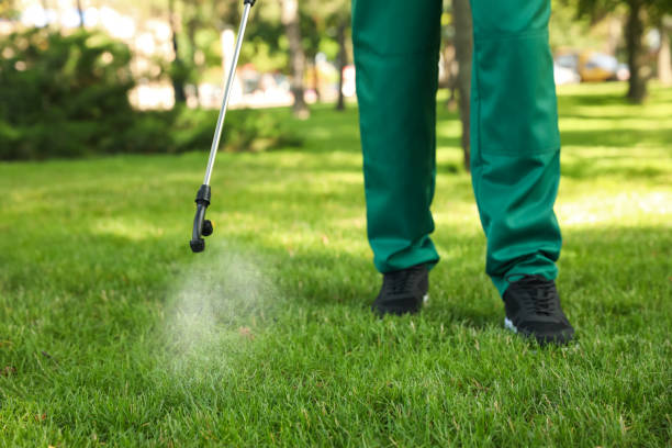Professional Pest Control in Eldersburg, MD