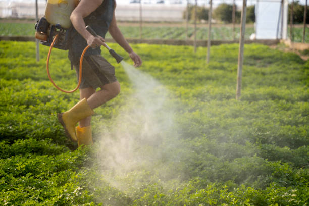 Best Local Pest Control Services  in Eldersburg, MD