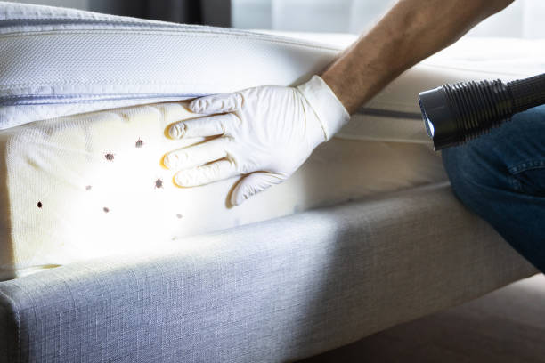 Pest Control Cost in Eldersburg, MD